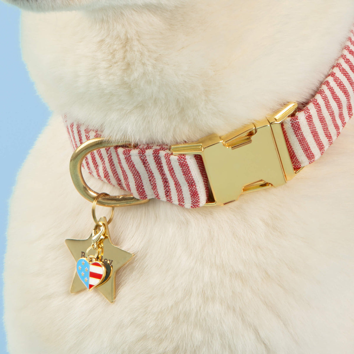 Gold I Heart America Stainless Steel Dog Collar Charm