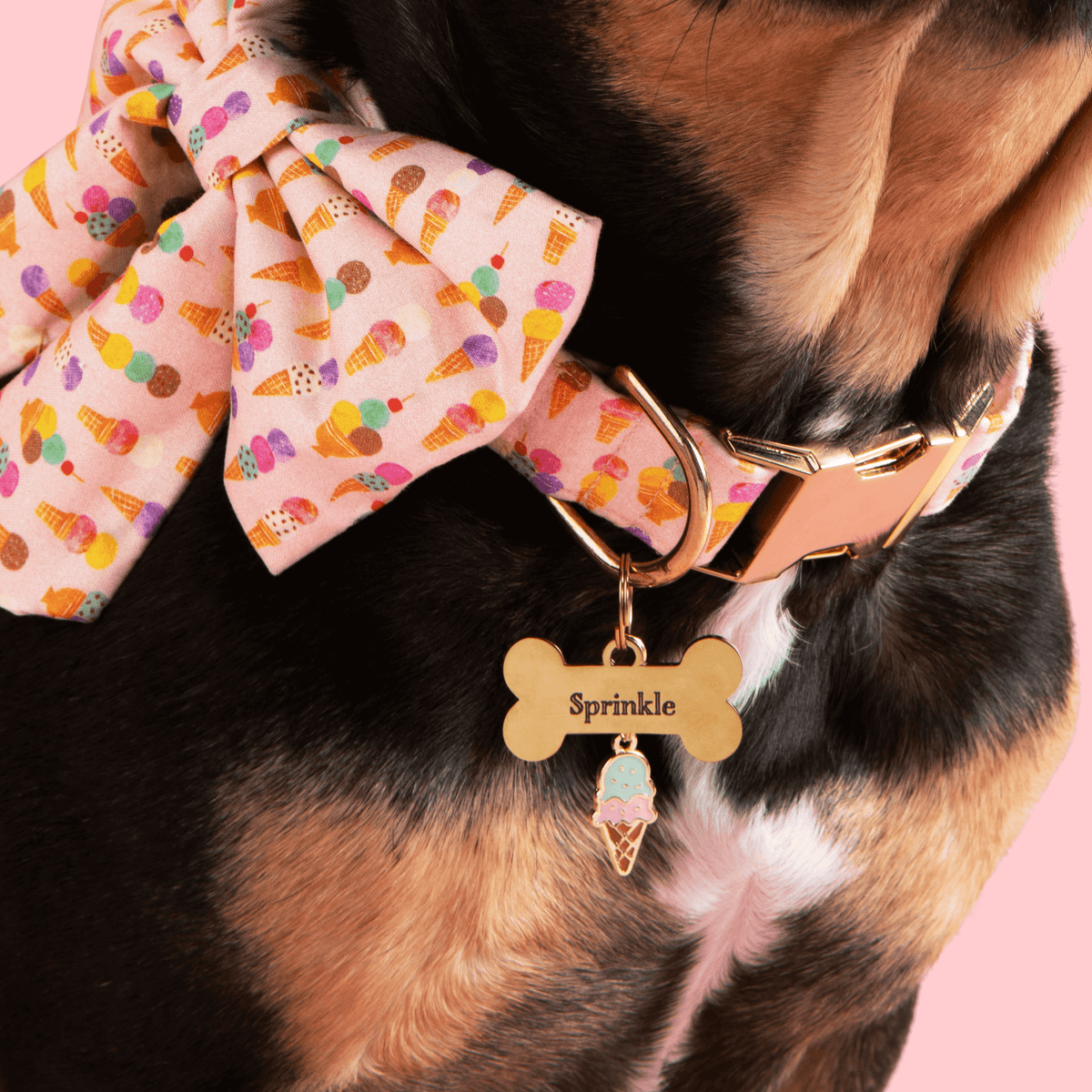 Bone-Shaped Gold Stainless Steel Dog ID Tag, Nickel-Free