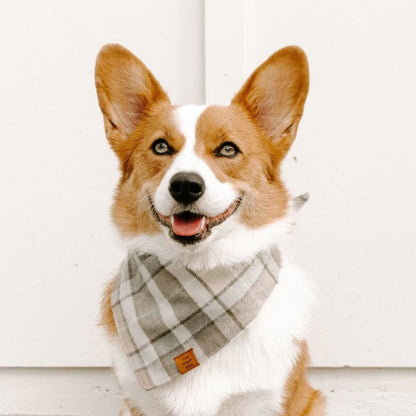 Tan & Cream Plaid Flannel Triangle Tie Dog Bandana
