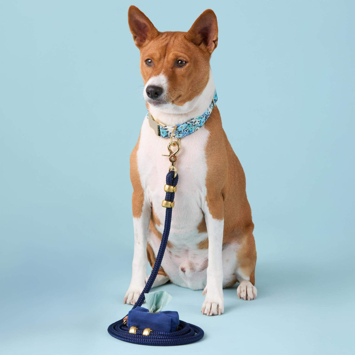 Royal Blue Marine Rope Dog Leash, 5 ft, Double-Braided Nylon