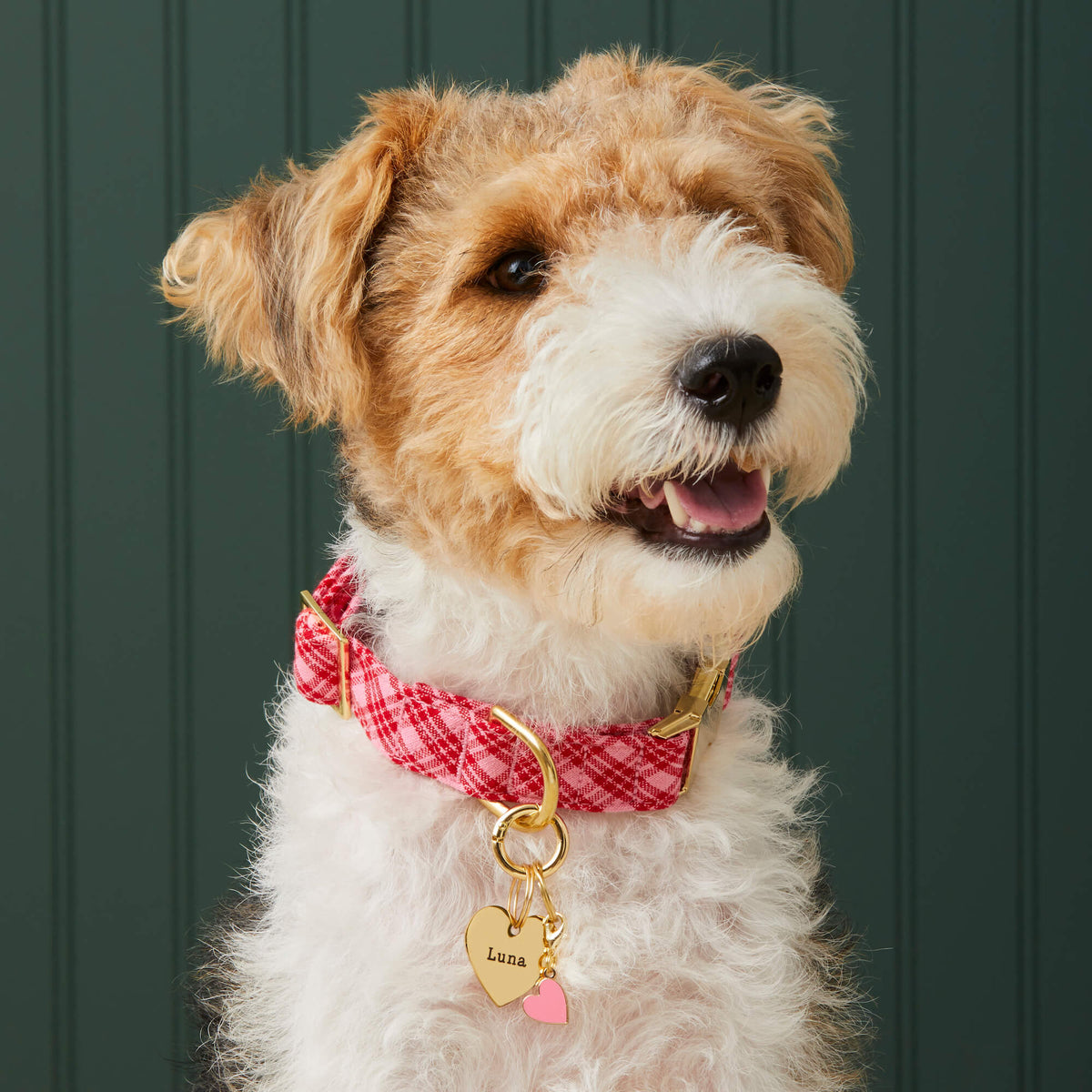 Heart-Shaped Gold Stainless Steel Pet ID Tag, Nickel-Free