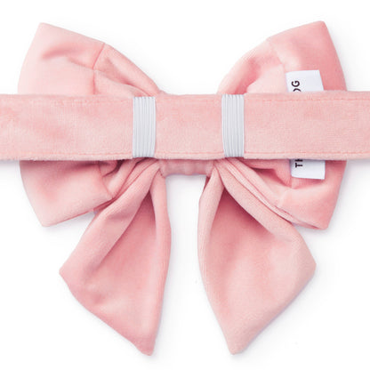 Blush Pink Velvet Dog Collar with Removable Lady Bow