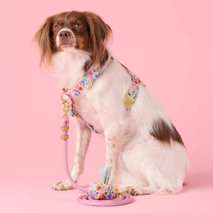 Pink Marine Rope Dog Leash with O-Ring, 5 ft