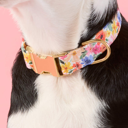 Pink Floral Cotton Dog Collar with Gold Hardware