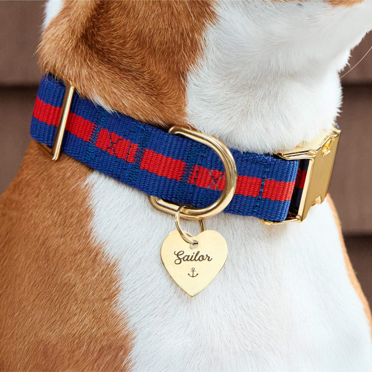 Navy & Red Striped Cotton Dog Collar with Metal Hardware