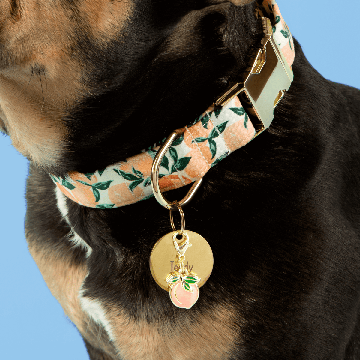 Peach Floral Cotton Dog Collar with Gold Hardware