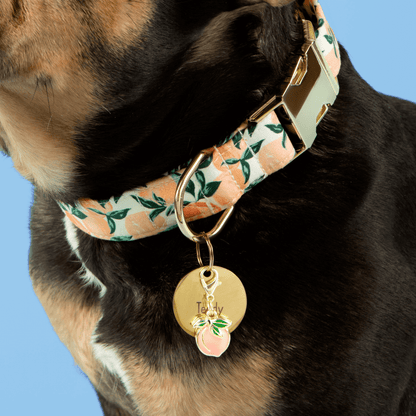 Peach Floral Cotton Dog Collar with Gold Hardware