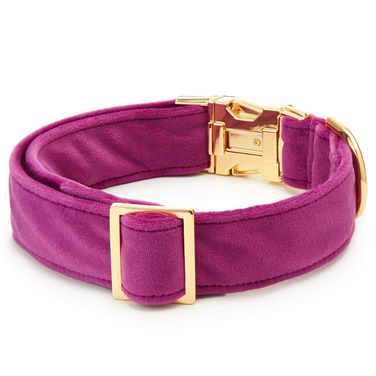 Purple Velvet Dog Collar with Gold Hardware