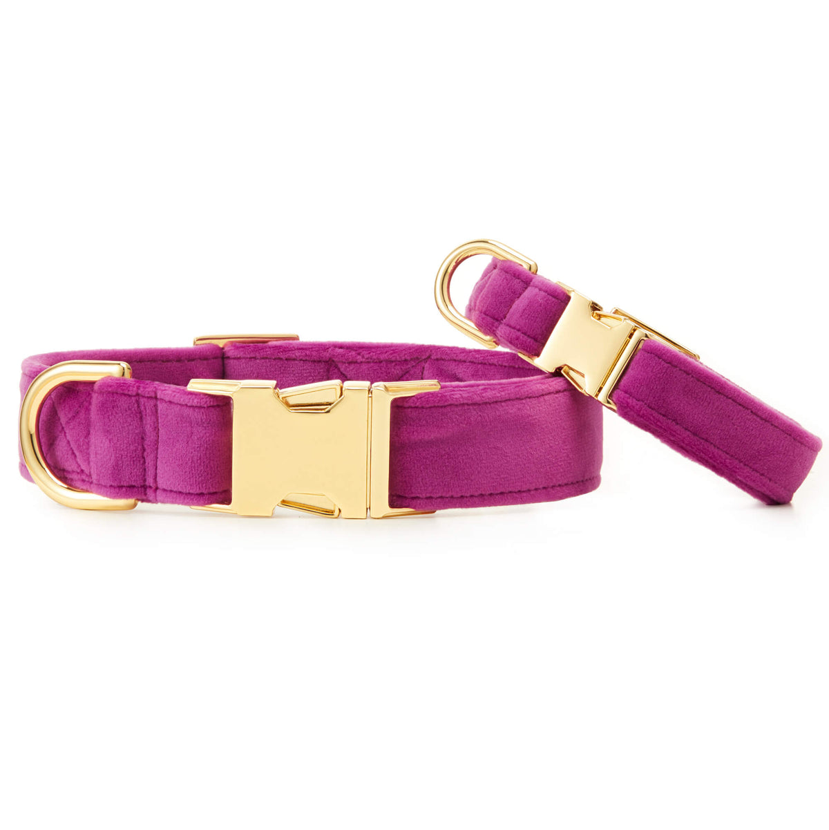 Purple Velvet Dog Collar with Gold Hardware