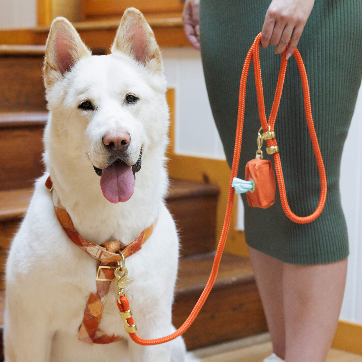 Rust Orange Braided Marine Rope Dog Leash, 5 ft
