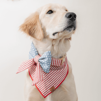 Red Stripe Cotton Canvas Triangle Tie Dog Bandana