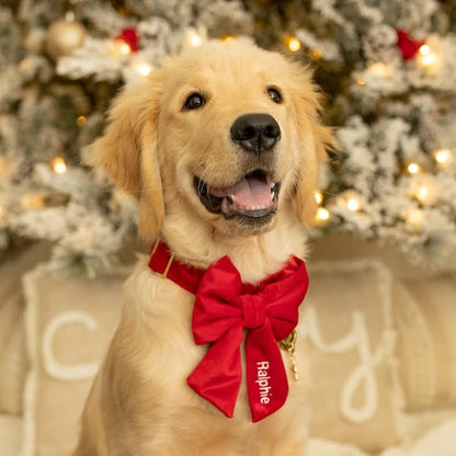 Red Velvet Dog Collar with Removable Lady Bow