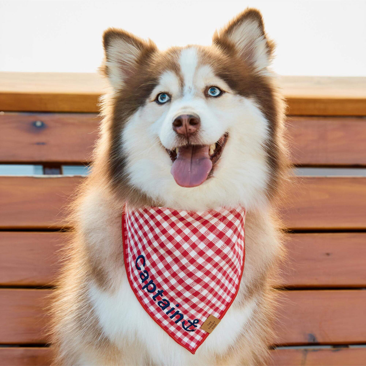Red Gingham Tie-On Dog Bandana with Red Hem