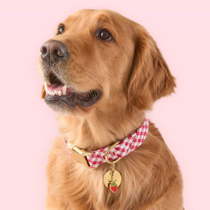 Red Gingham Dog Collar with Metal Hardware