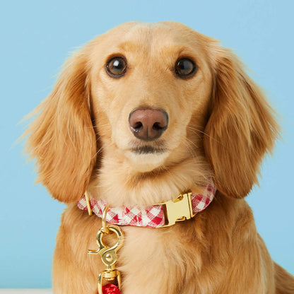 Red Gingham Dog Collar with Metal Hardware