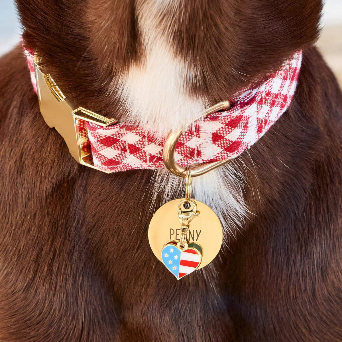 Gold I Heart America Stainless Steel Dog Collar Charm