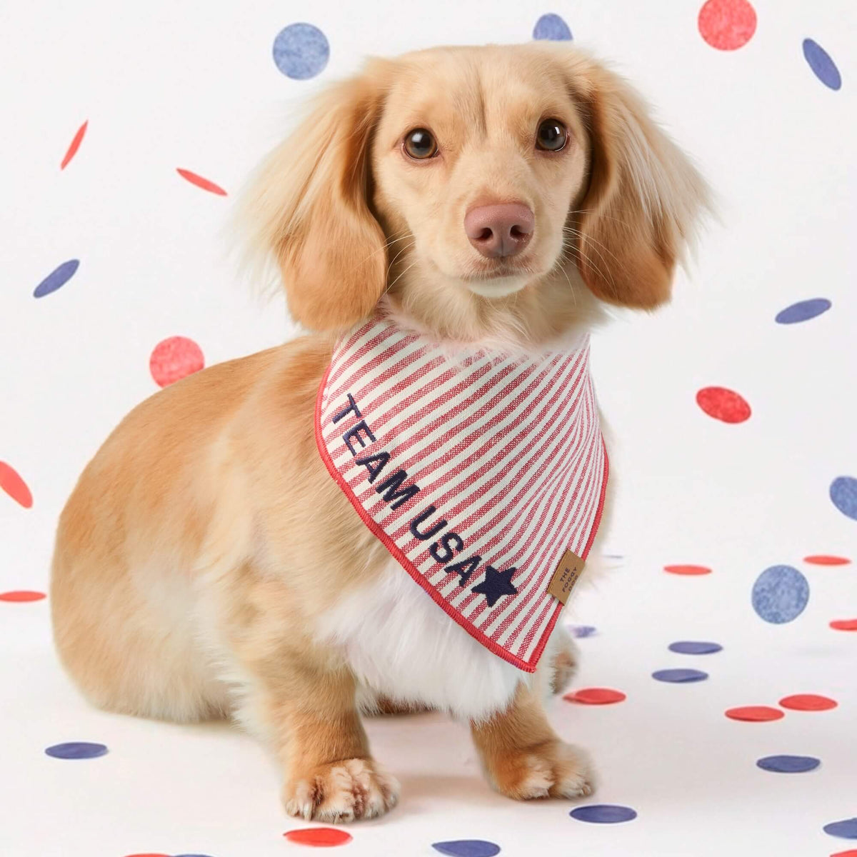 Red Stripe Cotton Canvas Triangle Tie Dog Bandana