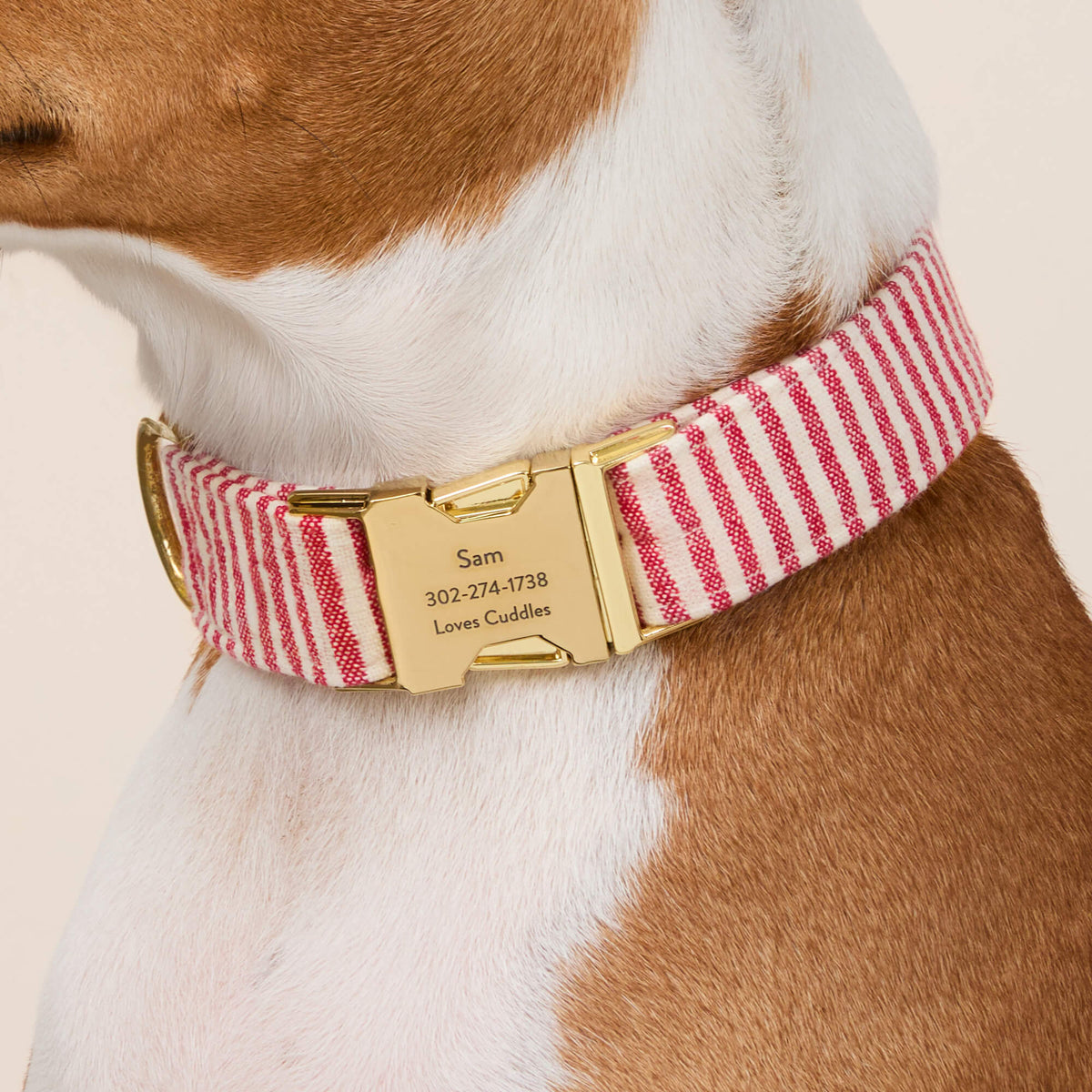Red Stripe Cotton Dog Collar with Metal Hardware