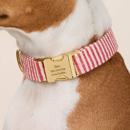 Red Stripe Cotton Dog Collar with Metal Hardware