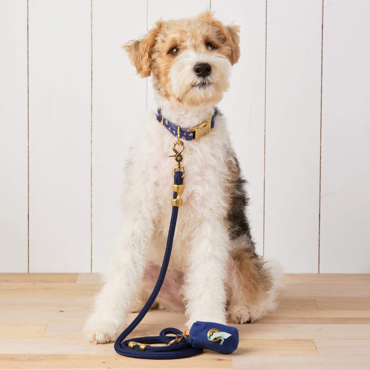 Royal Blue Marine Rope Dog Leash, 5 ft, Double-Braided Nylon