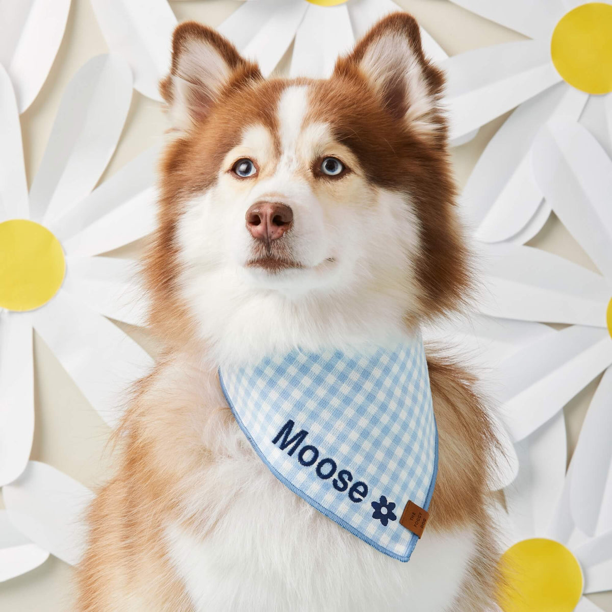 Sky Blue Gingham Triangle Tie Dog Bandana with Merrow Hem