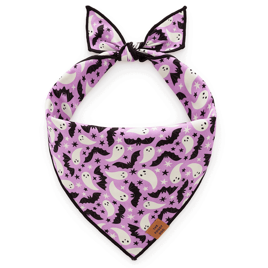 Lilac Ghost & Bat Halloween Reversible Dog Bandana, Triangle Tie