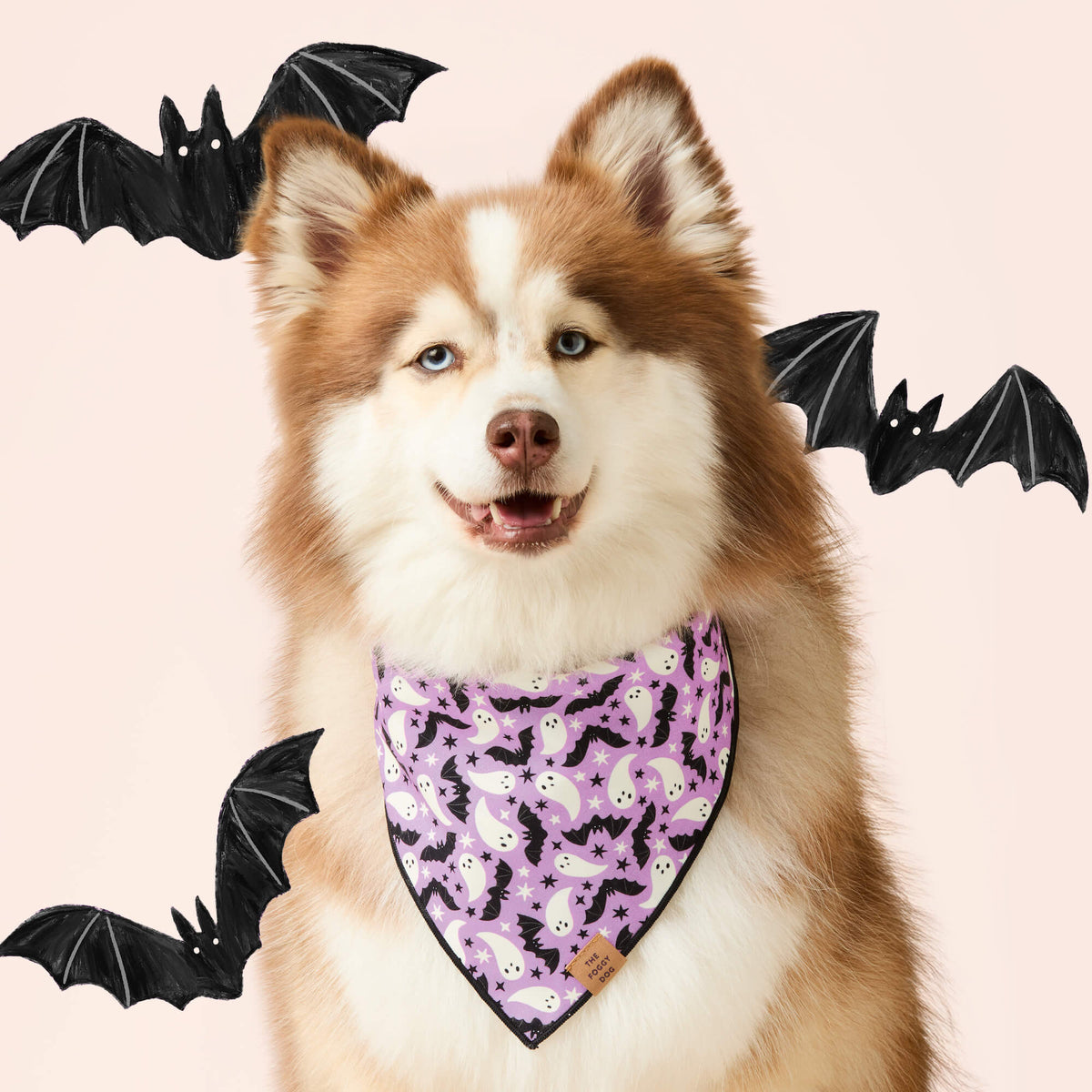 Lilac Ghost & Bat Halloween Reversible Dog Bandana, Triangle Tie