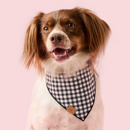 Lilac Ghost & Bat Halloween Reversible Dog Bandana, Triangle Tie