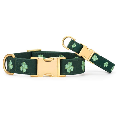 Green Clover Embroidered Dog Collar with Metal Hardware