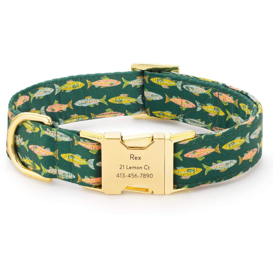 Green Fish Print Cotton Dog Collar with Brass D-Ring
