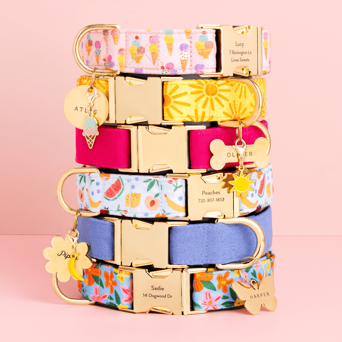 Hot Pink Cotton Dog Collar with Gold Hardware