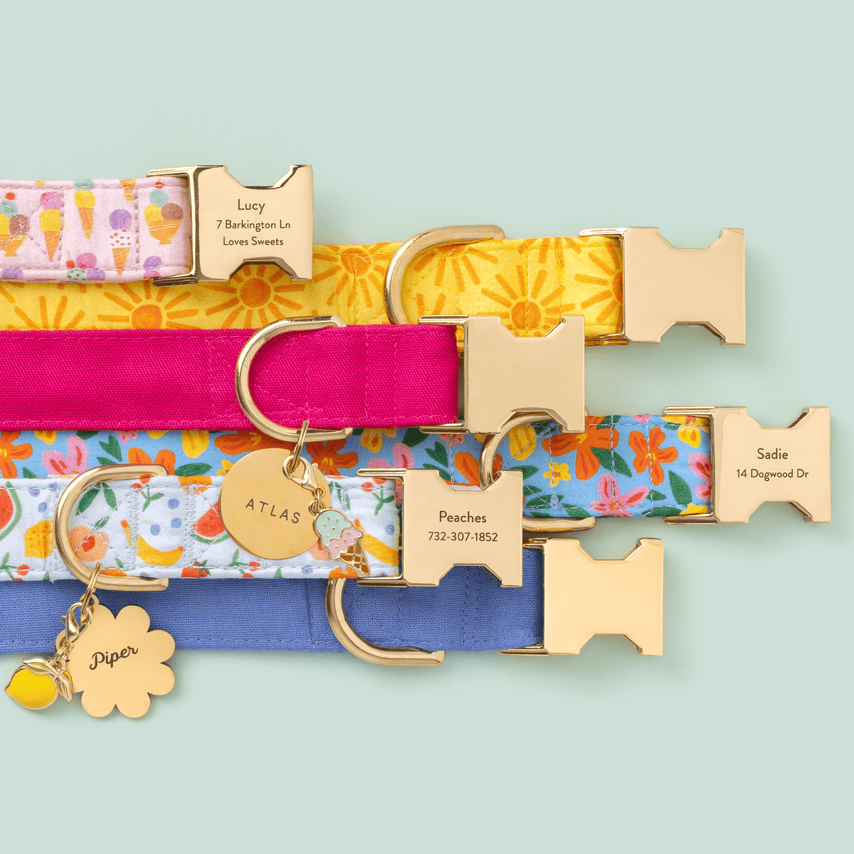 Hot Pink Cotton Dog Collar with Gold Hardware