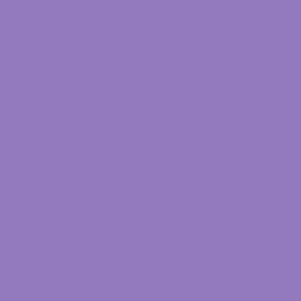 Violet Marine Rope Dog Leash, 5 ft Double-Braided Nylon