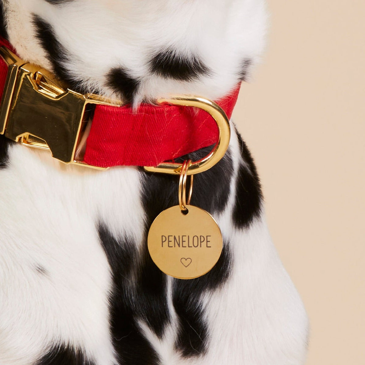 Round Pet ID Tag with Heart Icon, Gold-Tone Stainless Steel