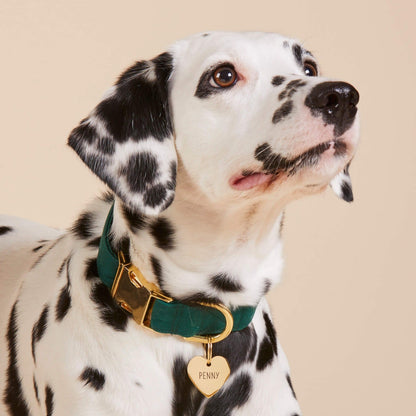 Dark Green Cotton Dog Collar with Gold Hardware