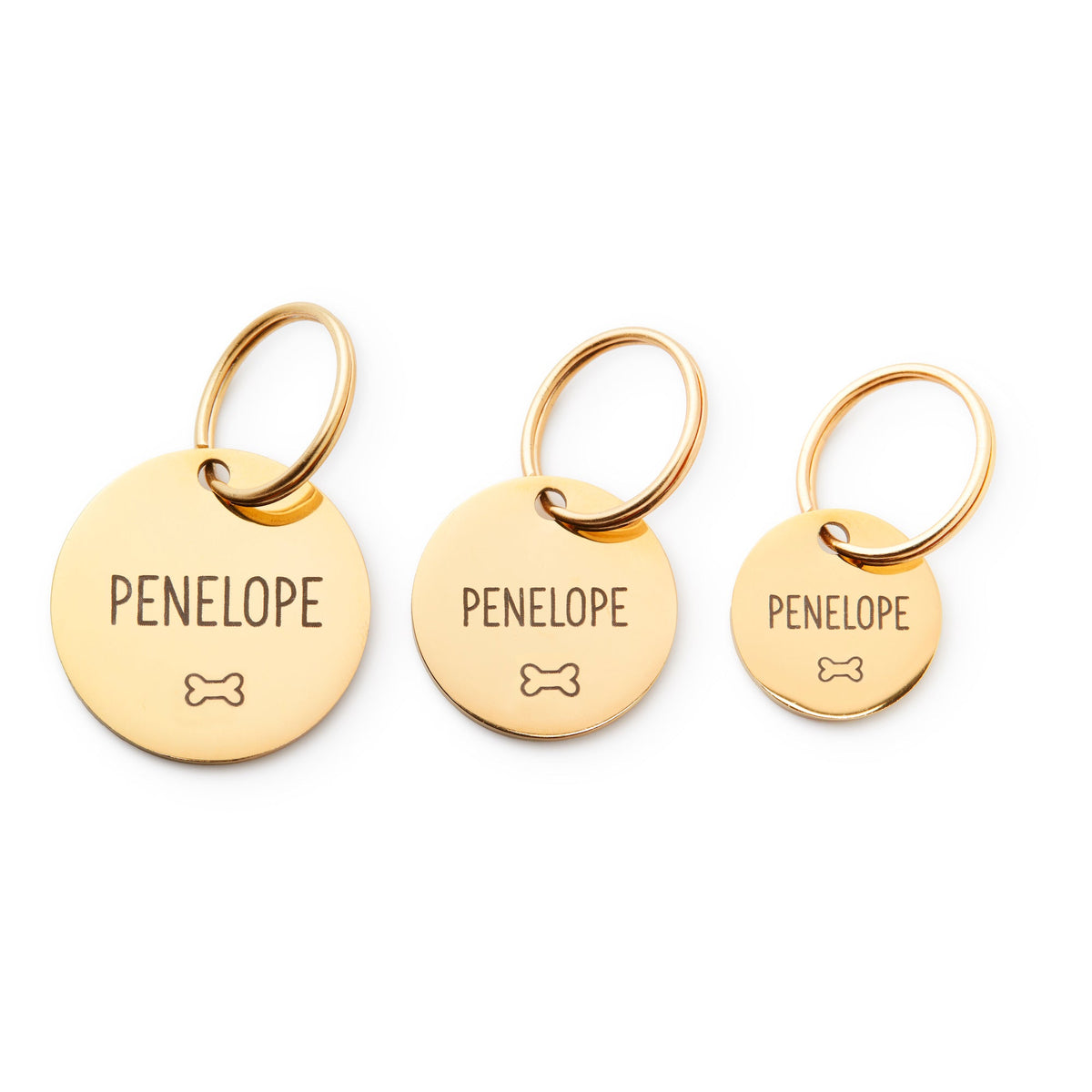 Round Pet ID Tag with Bone Icon, Gold-Tone Stainless Steel