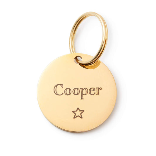 Gold Star Circle Pet ID Tag, Stainless Steel