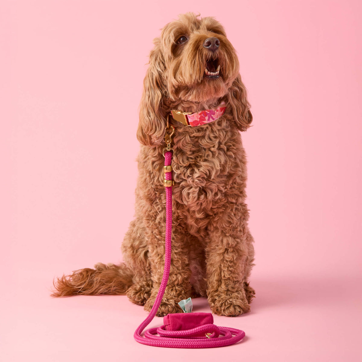 Hot Pink Marine Rope Dog Leash with O-Ring, 5 ft