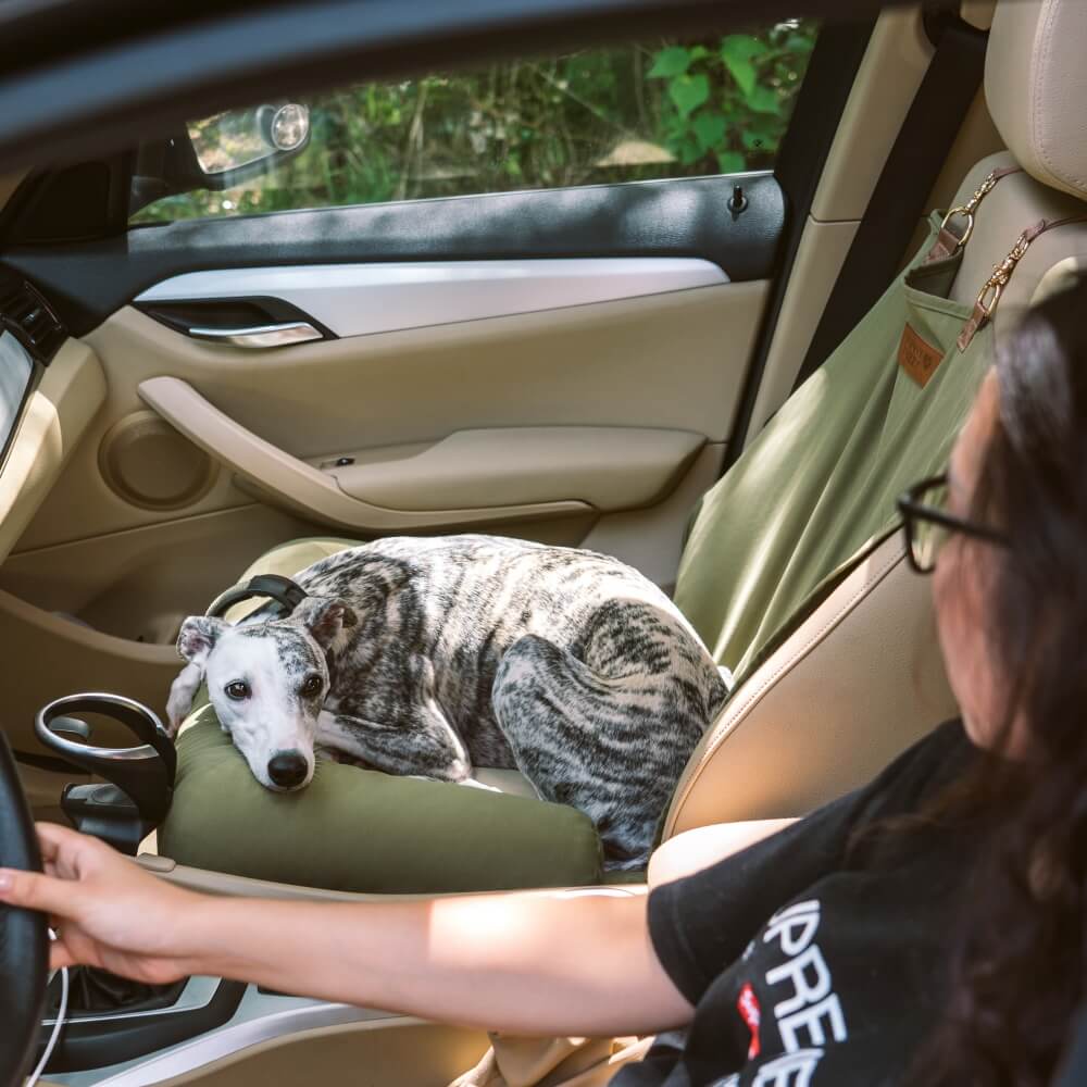 Chessboard Plaid Dog Car Back Seat Bed with Bolsters, Large