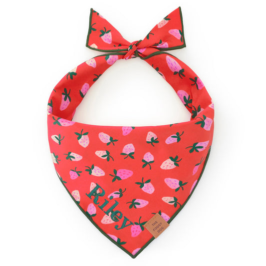 Red Strawberry Print Tie-On Dog Bandana with Dark Green Hem