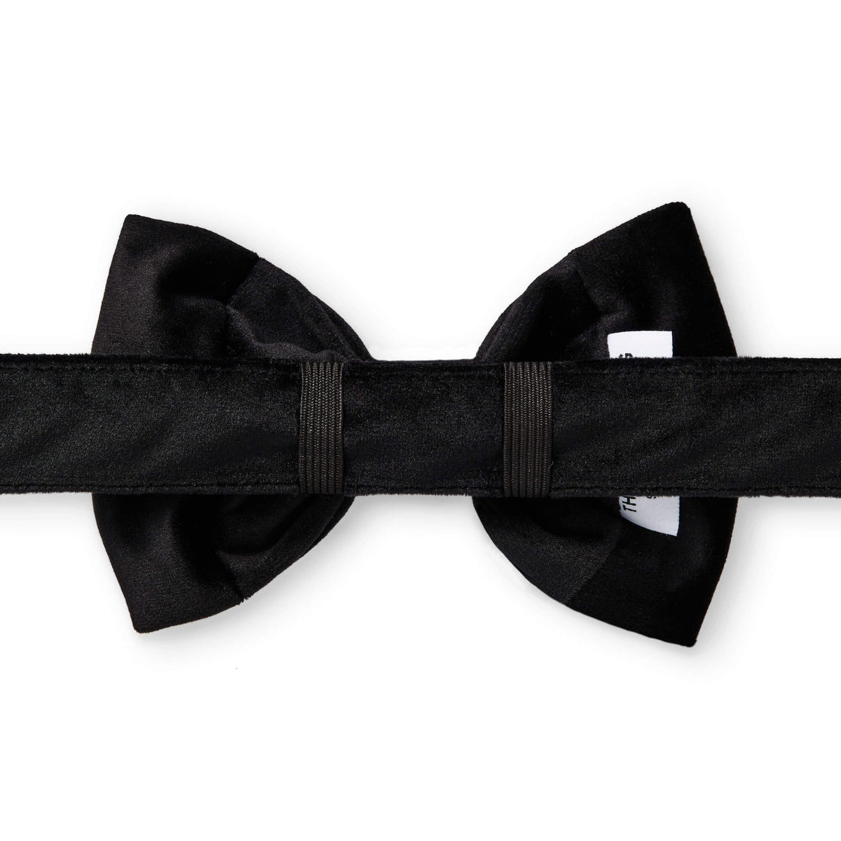 Black Velvet Dog Collar with Removable Bow Tie