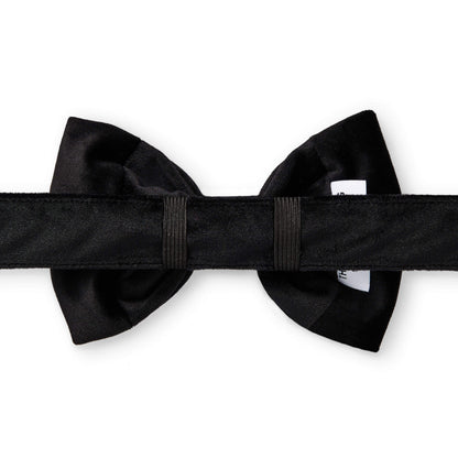 Black Velvet Dog Collar with Removable Bow Tie