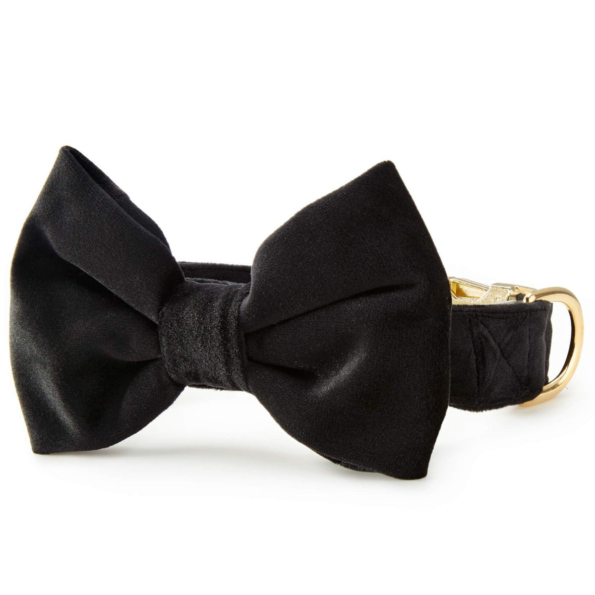 Black Velvet Dog Collar with Removable Bow Tie