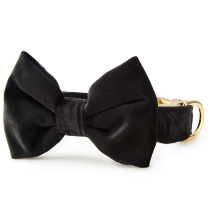 Black Velvet Dog Collar with Removable Bow Tie