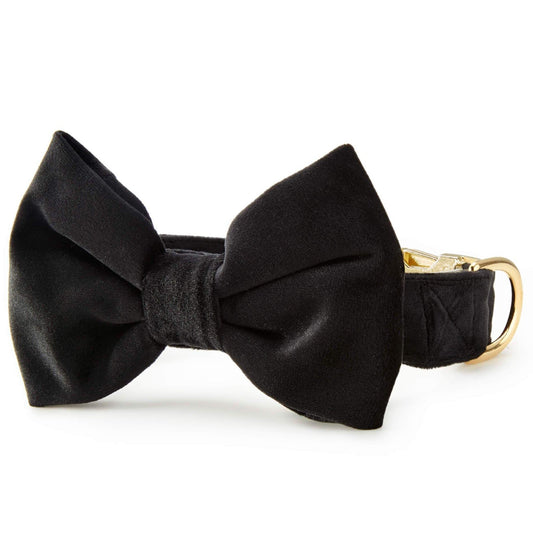 Black Velvet Dog Collar with Removable Bow Tie