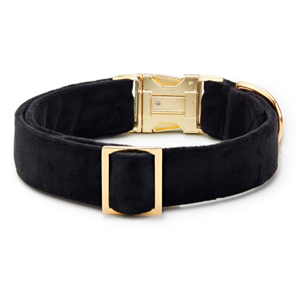Black Velvet Dog Collar with Gold Hardware