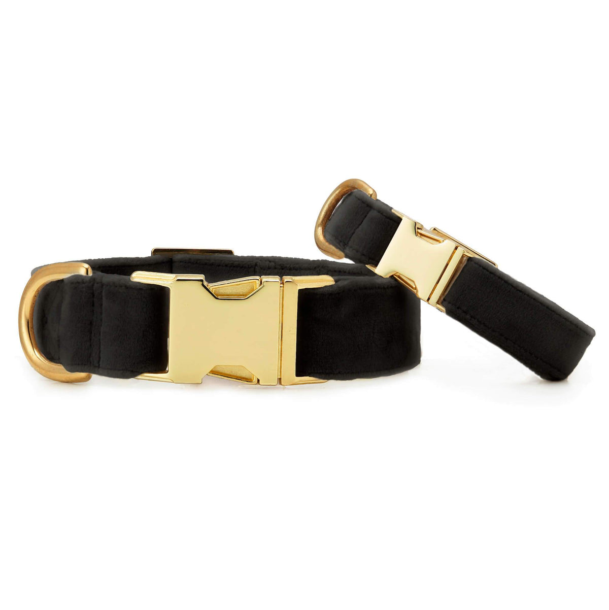 Black Velvet Dog Collar with Gold Hardware