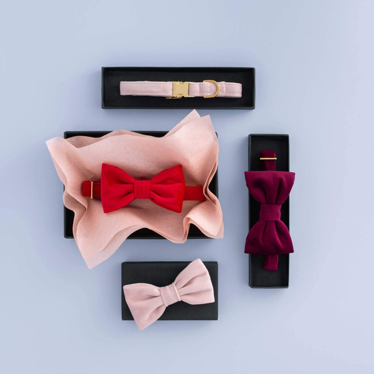 Blush Pink Velvet Dog Collar with Removable Lady Bow