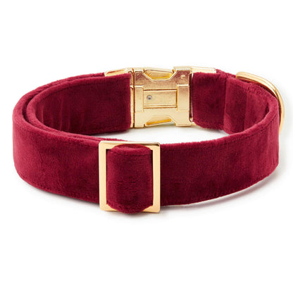 Burgundy Velvet Dog Collar with Gold Hardware