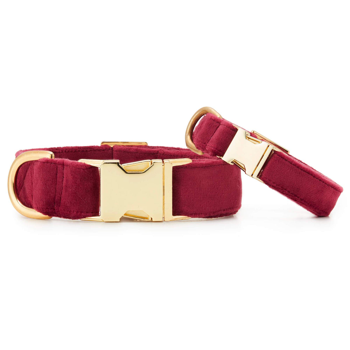 Burgundy Velvet Dog Collar with Gold Hardware